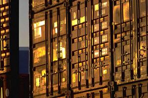 種類別のコーキングを正しく選ぶ心得