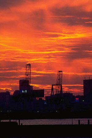 レマコムで冷蔵対面ショーケースは買おう